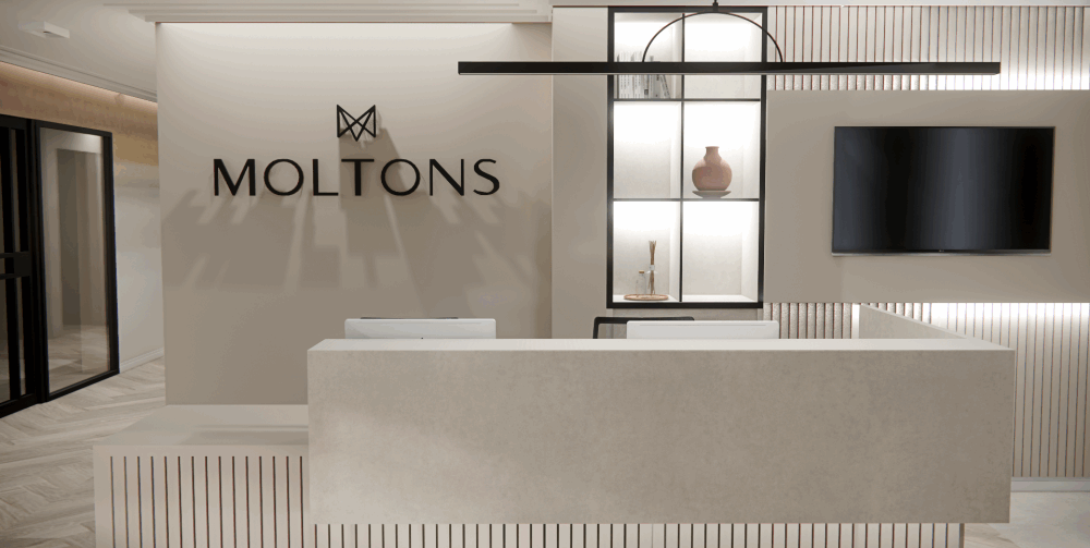 moltons interior2