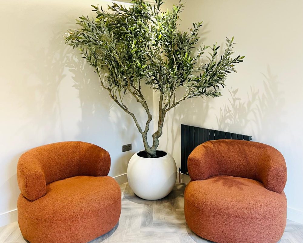 Practice Gallery Image - Moltons Dental