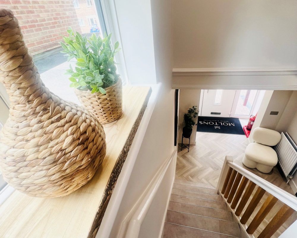 Practice Gallery Image - Moltons Dental